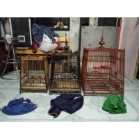 ราคา กรงนก (มือสอง) (356208444)