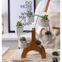 ราคา กระถางไม้ประดับ กระถางกระบองเพชรชิงช้า (มือหนึ่ง) (360679618)