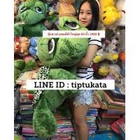 ราคา ตุ๊กตาเต่าแซมมี่สีเขียวเข้มตัวใหญ่ยักษ์จัมโบ้ใหญ่ที่สุดขนาด 60 นิ้ว ลิขสิทธิ์ NICI แท้ ผ้ากำมะหยี่เนื้อนุ่มค่ะ (มือหนึ่ง) (334076523)