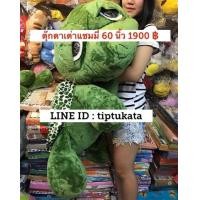 ราคา ตุ๊กตาเต่าแซมมี่สีเขียวตัวใหญ่ยักษ์จัมโบ้ใหญ่ที่สุดขนาด 60 นิ้ว ลิขสิทธิ์ NICI แท้ ผ้ากำมะหยี่เนื้อนุ่มค่ะ ราคา 1900 บาท ถูกที่สุดค่ะ (มือหนึ่ง) (333784456)