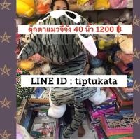 ราคา ตุ๊กตาแมวจี้จังทรงตัวโต ขนาดใหญ่ ขนาด 40 นิ้ว ราคา 1200 บาท พร้อมส่ง ems ฟรีค่ะ (มือหนึ่ง) (334295393)