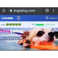ราคา เซ้งกิจการร้านออนไลน์ แบรนด์ Dogtalog (360195708)