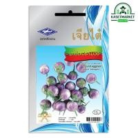 ราคา มะเขือเปราะม่วง (เจียไต๋) 1 กรัม 200 เมล็ด (มือหนึ่ง) (359603469)