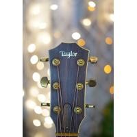 ราคา TAYLOR 810 Made in USA (มือสอง) (360666796)