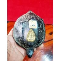 ราคา เต่าเนื้อผงยาของหลวงปู่บุญวัดกลางบางแก้วขนาด 5 นิ้ว (มือสอง) (360222056)