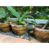 ราคา เศรษฐี วิลสัน ค้าขาย ร่ำรวย (มือหนึ่ง) (360677204)