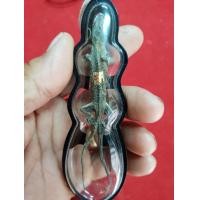 ราคา จิ้งจกสองหาง เลี่ยมกันน้ำของหลวงพ่อครื้นวัดสังโฆมีให้เลือก (มือสอง) (358222307)