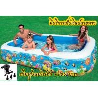 ราคา สระน้ำเป่าลม Intex-58485 ลายทะเล 3 เมตร ช่องเป่าลม 3 ชั้น ส่งฟรีเอกชน (มือหนึ่ง) (360655352)