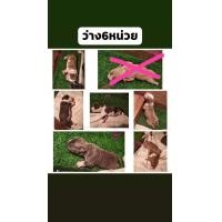 ราคา ลูกบลูลี่ (360654515)