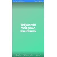 ราคา รับซื้อลูกหมาลูกแมวทุกสายพันใคคเลี้ยงไม่ได้โทรเลยจ้า (360620291)