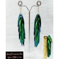 ราคา ตุ้มหูปีกแมลงทับ ราคา 250-39 บาท (มือหนึ่ง) (360657844)