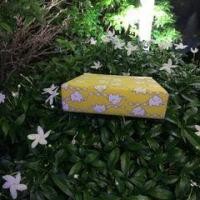 ราคา กระเป๋าสตางค์NaRaYa ใส่เหรียญ ปิ๊กแป๊ก สีเหลืองลายช้าง (มือหนึ่ง) (360575213)