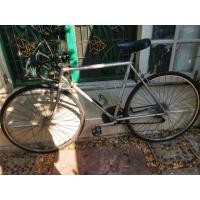 ราคา เสือหมอบวินเทจ (มือสอง) (360665686)