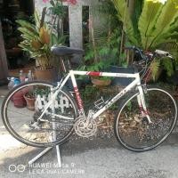 ราคา ขายจักรยานแฮนด์ตรง basso (มือสอง) (360656586)
