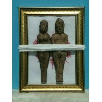 ราคา มักรีผล (มือสอง) (360654159)