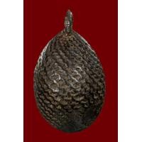 ราคา เบี้ยแก้หลวงปู่รอด (มือสอง) (360632439)