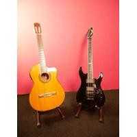 ราคา Dean Custom 550 Floyd และ Takamine D series ED36SC N (มือสอง) (360648584)