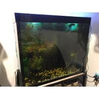 ราคา ตู้ปลา กว้าง20” สูง24” พร้อมขาเหล็กและอุปกรณ์ (มือสอง) (360648604)