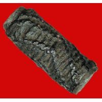 ราคา ตะกรุดสาริกา หลวงปู่เอี่ยม วัดสะพานสูง ขนาด 1.0 เซนฯ ยาว 1.0 นิ้ว เนื้อเก่า สวย (AB035) (มือสอง) (348713406)