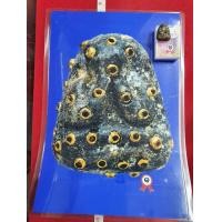 ราคา พระปิดตาหลังแบบฝังตะกรุดทั้งองค์ของหลวงพ่อแก้ววัดเครือวัลย์จังหวัดชลบุรีพร้อมไปประกวดติดรางวัล (มือสอง) (360646241)