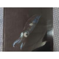 ราคา หนังสือชีวะปลาหมึก (มือสอง) (360643641)