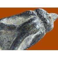 ราคา ให้เช่า พระบ้าน พระปิดตากรุวัดท้ายย่าน จ.ชัยนาท พิมพ์ชีโบใหญ่ เนื้อแร่พลวง (มือสอง) (343974940)