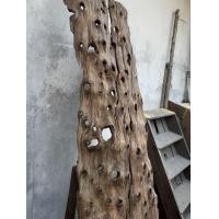 ราคา เปลือกไม้เก่า (มือสอง) (360640434)