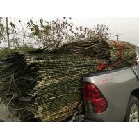 ราคา ขายใบจากมุงหลังคา ราคา 5฿ ต่อตับบ้านโพธิ์ฉะเชิงเทราค่ะ (มือหนึ่ง) (360632490)