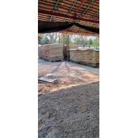 ราคา ขายตับจากมุงหลังคา (มือหนึ่ง) (360629994)