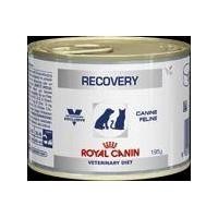 ราคา อาหารสำหรับสัตว์เลี้ยงอยู่ระหว่างพักฟื้น Recovery ยี่ห้อ Royal Canin ขนาด 195 กรัม (348906572)