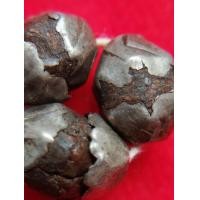 ราคา เม็ดยาหลวงปู่บุญวัดกลางบางแก้ว (มือสอง) (356943880)