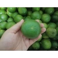 ราคา มะนาวแป้นบ้านแพ้ว (มือหนึ่ง) (360633996)