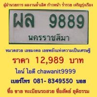 ราคา ทะเบียนสวย นครราชสีมา ใส่รถกระบะตอนเดียวและแค๊ป (มือสอง) (360625361)