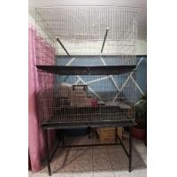 ราคา กรงนกมือสอง (360613531)