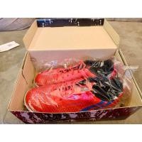 ราคา รองเท้าฟุตบอลร้อยปุ่ม Pan (หญ้าเทียม) (มือสอง) (360622321)