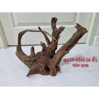 ราคา ท่อนไม้ประดับตู้ปลา (มือสอง) (360573212)