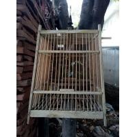 ราคา กรงนก โครงไม้สัก สภาพดี (มือสอง) (360596367)