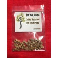 ราคา ( เมล็ดพันธุ์ ) ต้นแก้วประยงค์ (มือหนึ่ง) (360603360)