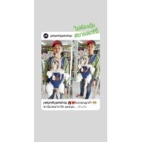 ราคา กระเป๋าใส่สุนัข(เป้อุ้มหมา) ยี่ห้อPuppe รับน้ำหนักได้ 1-7kg น้ำหนักเบา สไตล์สปอร์ต ร้านเพ็ทพริตตี้วัชรพล (มือหนึ่ง) (109570559)