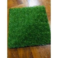 ราคา หญ้าเทียม (มือสอง) (356173135)