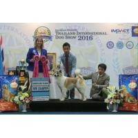 ราคา บางแก้ว (360590691)