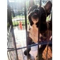 ราคา ลูกบลูด็อก (360590114)