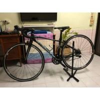 ราคา giant liv xxs (มือสอง) (360006777)