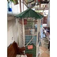 ราคา ขายกรงนก 6 เหลี่ยม (มือสอง) (360569791)