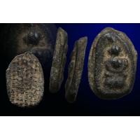 ราคา เม็ดข้าวเม้า พิจิตร (มือสอง) (359130528)