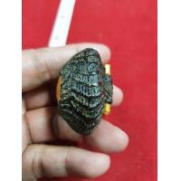 ราคา เบี้ยแก้ หลวงปู่เจือ วัดกลางบางแก้ว มีปลอด ททิงคำแท้ (มือสอง) (352286031)