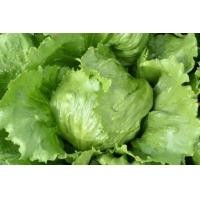 ราคา เมล็ดพันธุ์ผักกาดแก้ว​ ซื้อ​3​แถม​1​คละ​ได้​ค่ะ​ (มือหนึ่ง) (347733386)