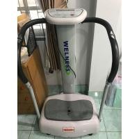 ราคา เครื่องสั่นสลายไขมัน (มือสอง) (360570229)