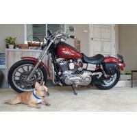 ราคา Harley Davidson Dyna (มือสอง) (360572855)