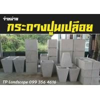 ราคา กระถางปูนเปลือย (มือหนึ่ง) (359455385)